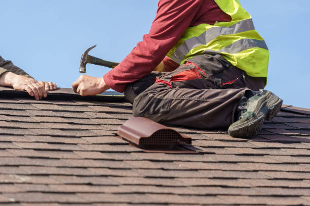 Best Commercial Roofing Services  in Dland, MI
