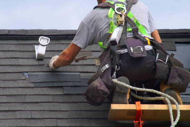 Best Commercial Roofing Services  in Dland, MI
