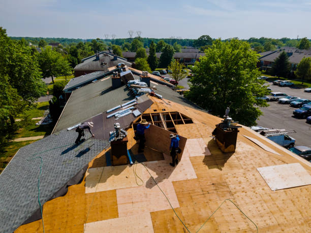 Best Commercial Roofing Services  in Dland, MI