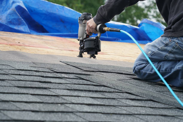 Best Flat Roof Repair Services  in Dland, MI