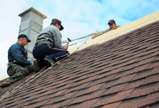 Best Affordable Roofing Company  in Dland, MI