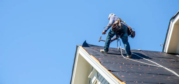 Best Residential Roofing Contractor  in Dland, MI