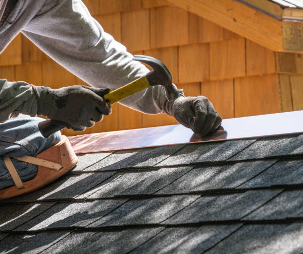Best Residential Roofing Contractor  in Dland, MI